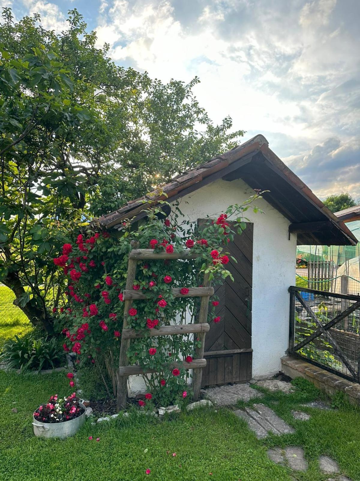 Casa Giovannella Feltre Eksteriør billede